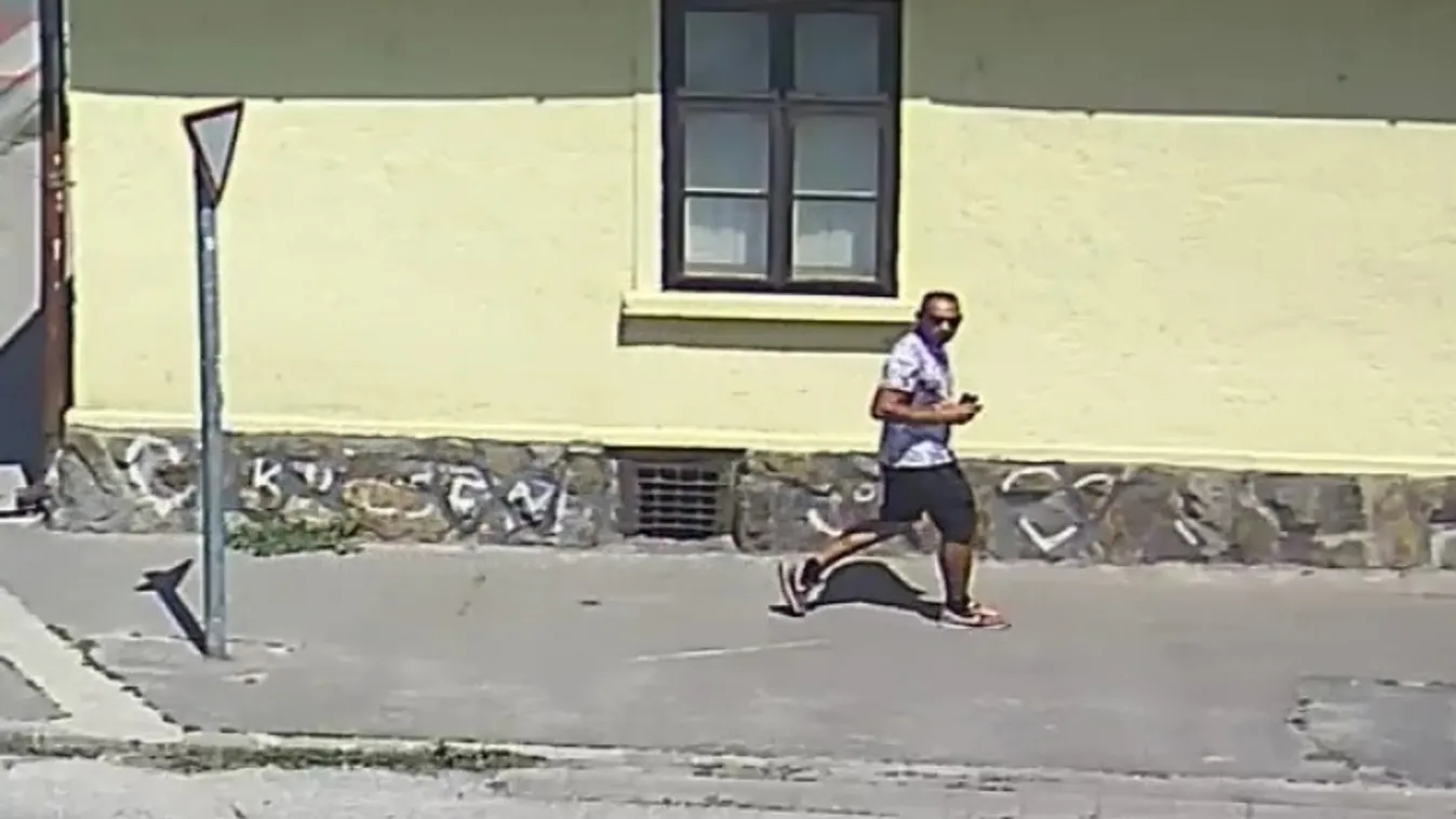 Ez a férfi mutogatta magát Pomázon, felismered?