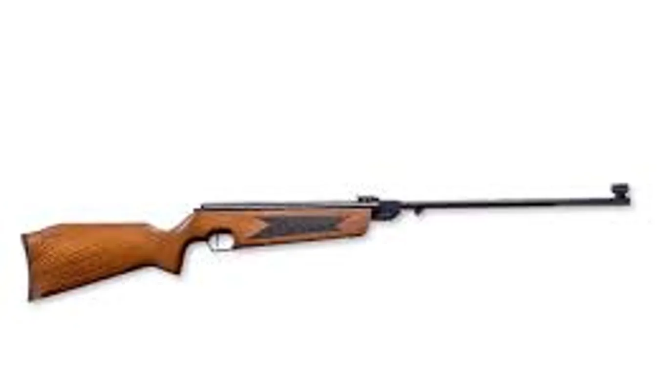 Élvezettel lövöldözött valaki az állatokra a homonnai lakótelepen