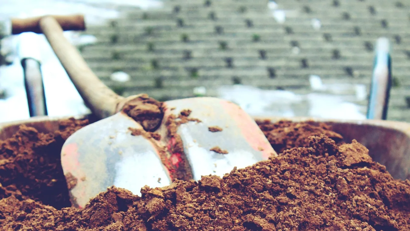 Elkerekedett a tudósnő szeme is a hatalmas férfiasság láttán