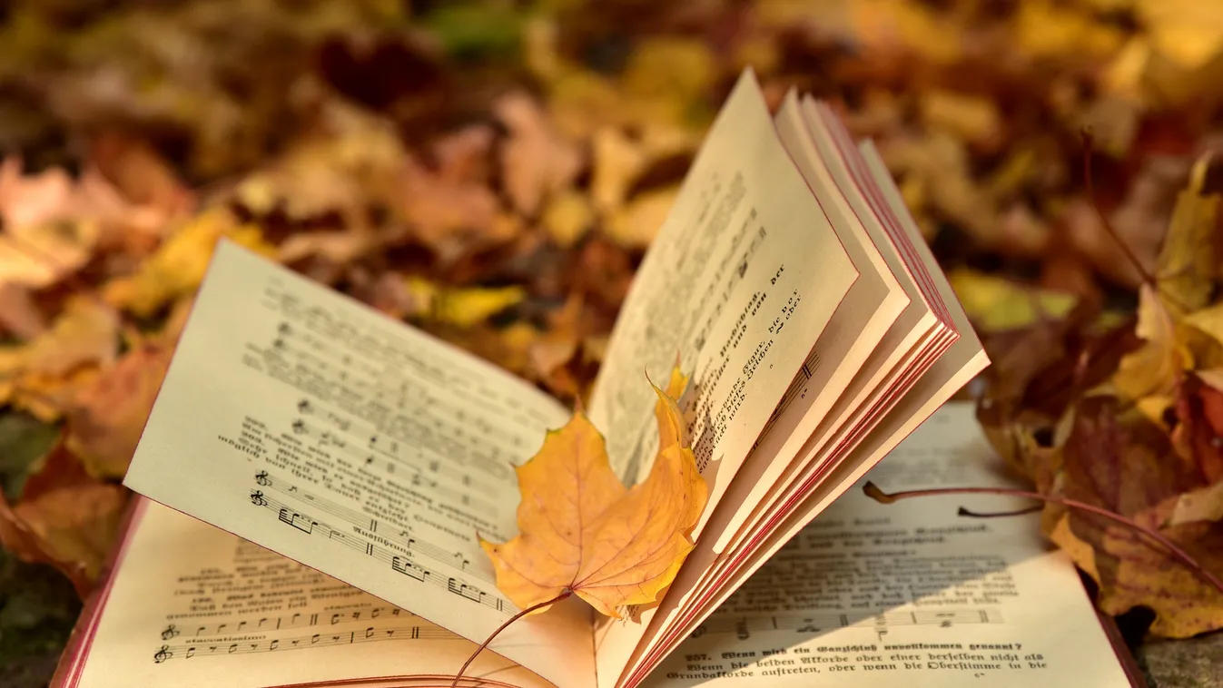 Kiderült, ekkortól jön gyökeres változás az időjárásban