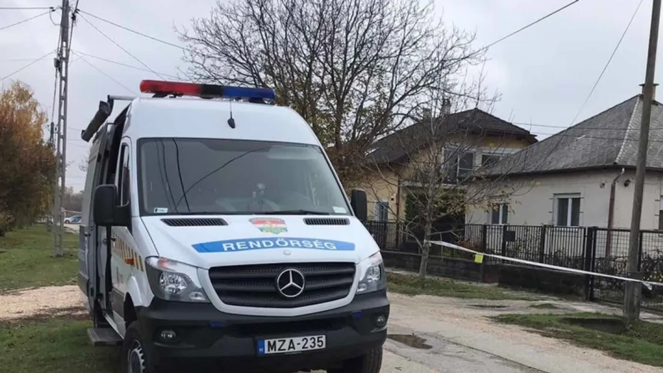 Megrázó részletek a tárnoki gyilkosságról: a nagymama végighallgatta unokája kivégzését