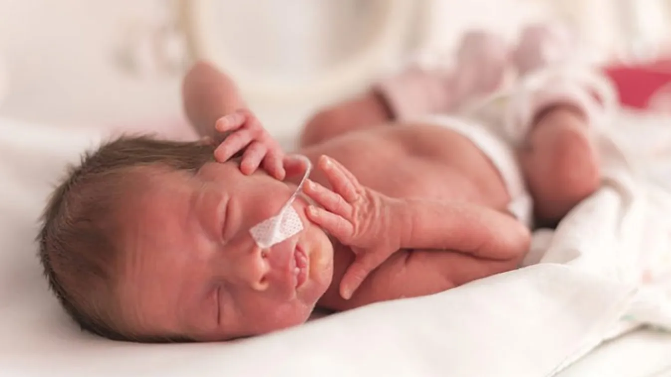 Koraszülötteknek gyűjt ez a híres magyar tévéműsor