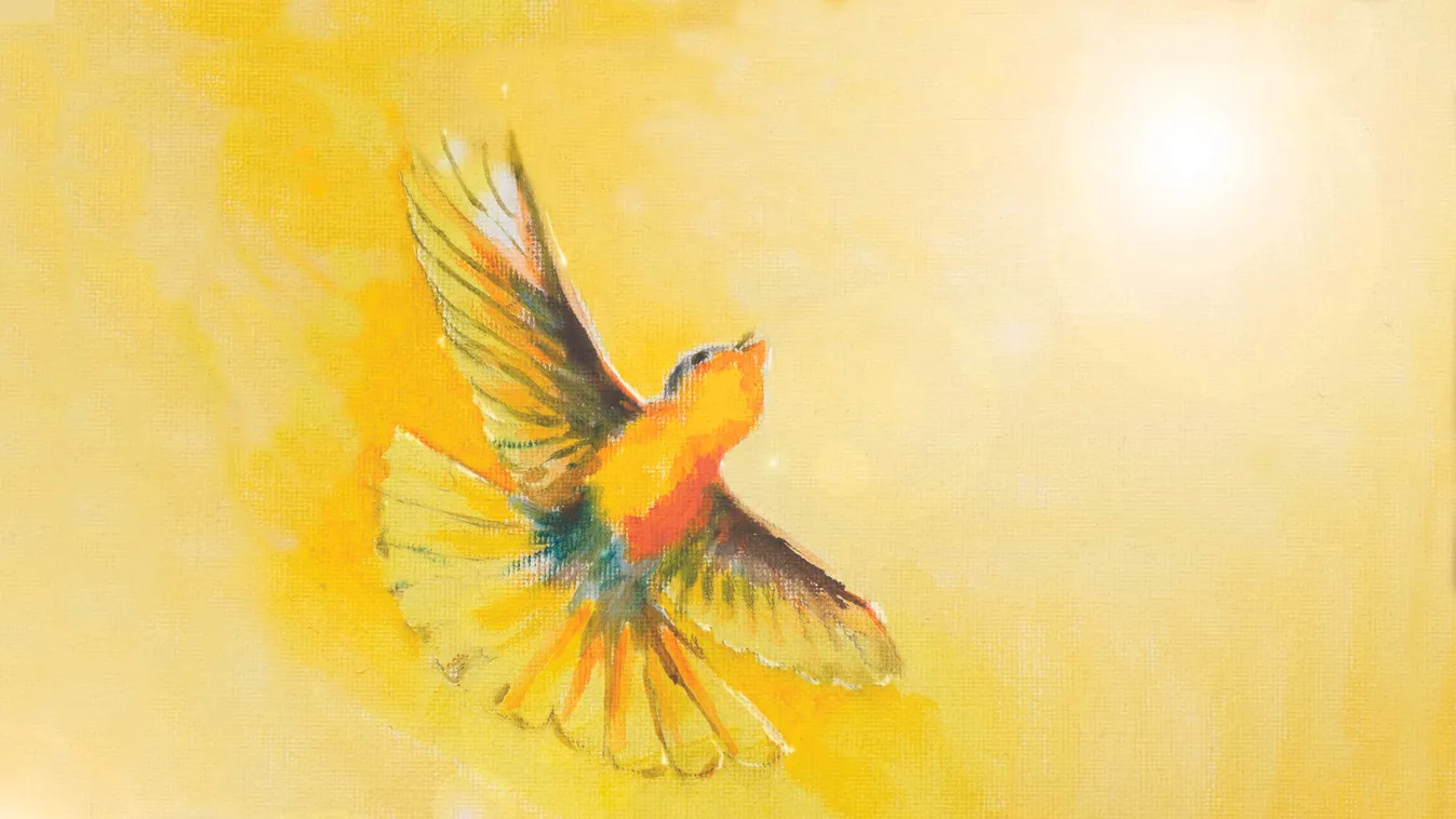 Mesével dolgozhatják fel a gyerekek a fogantatás tudatalatti élményét