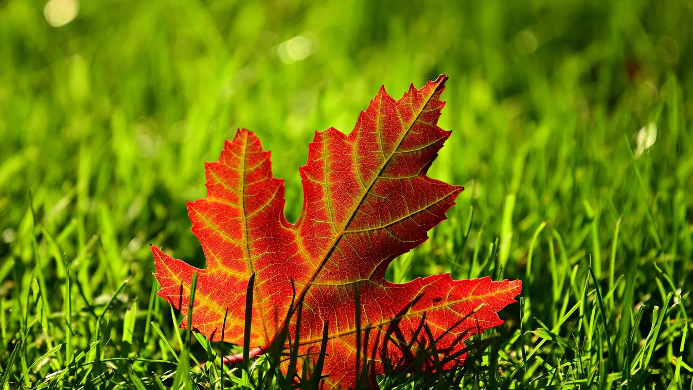 Búcsúztasd el pihenéssel az őszt!