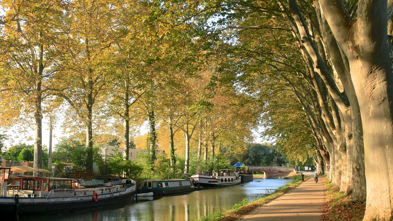 Toulouse: hihetetlen dolgok várnak rád!