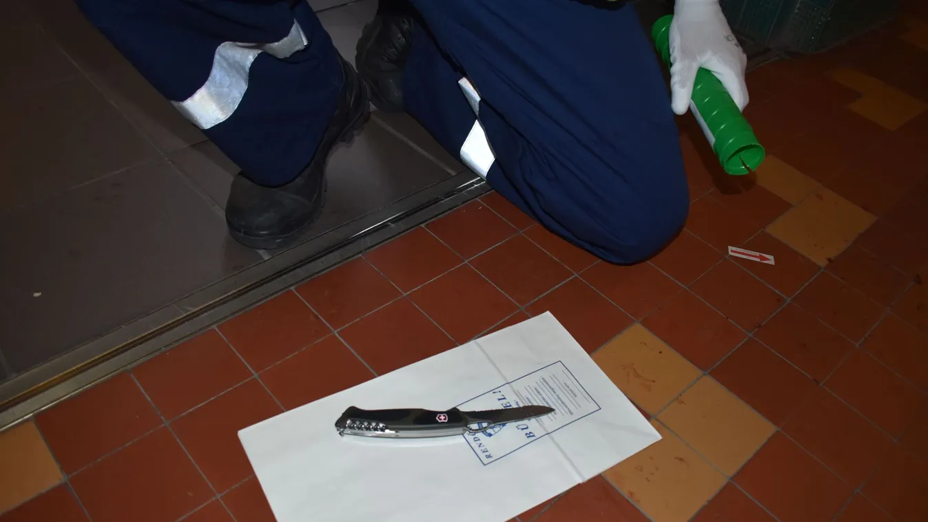 Ekkor engedik ki a kórházból a győri iskolában megkéselt tanárnőt