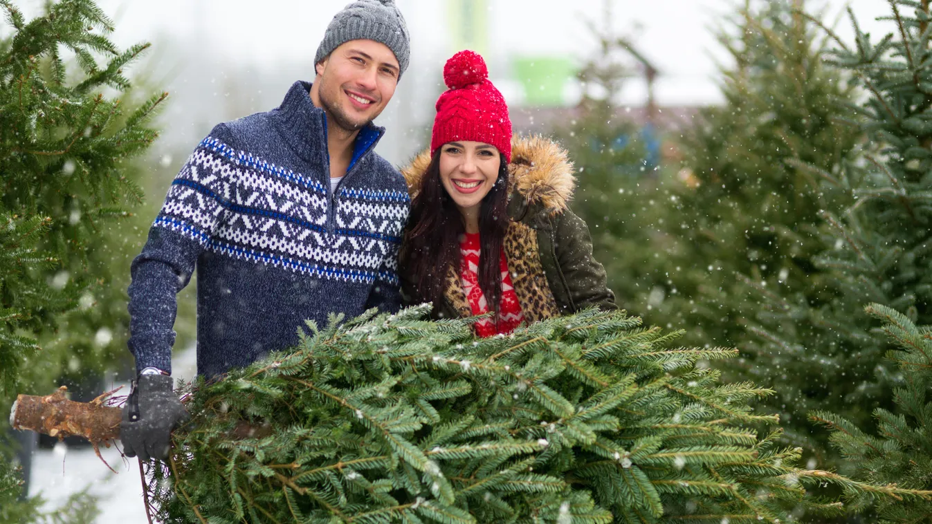 Így lesz környezettudatos a karácsony, a legjobb tippek egy helyen