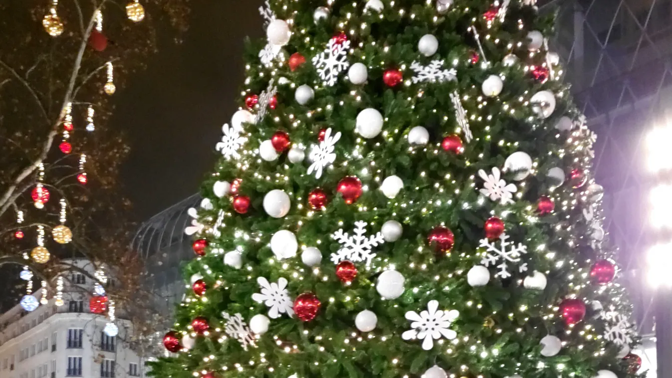 Exkluzív interjú a NASA-nak dolgozó magyar tudóssal