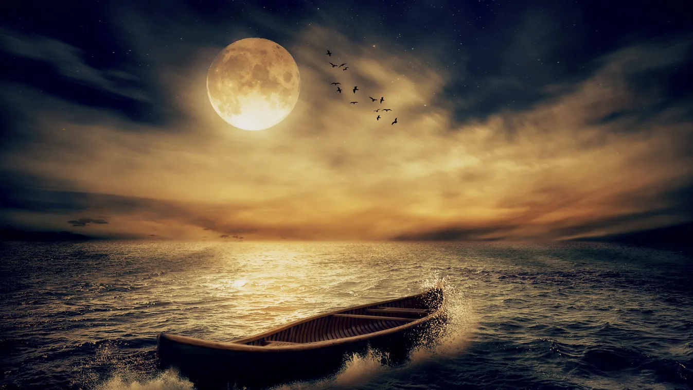 2020 a Hold éve! Az érzelmek veszik át a stafétabotot