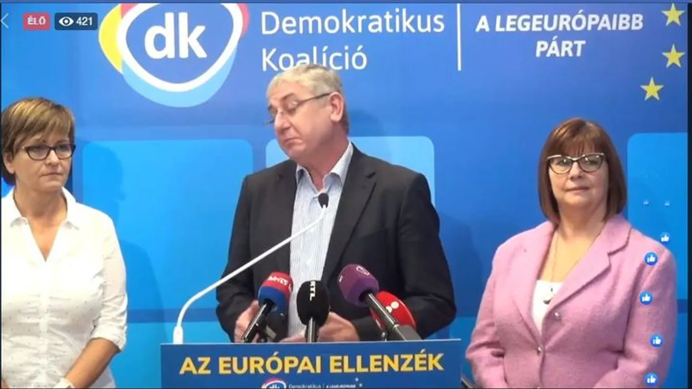 5 évre bebetonozták Kálmán Olgát, 60 millió mindenképp jár neki