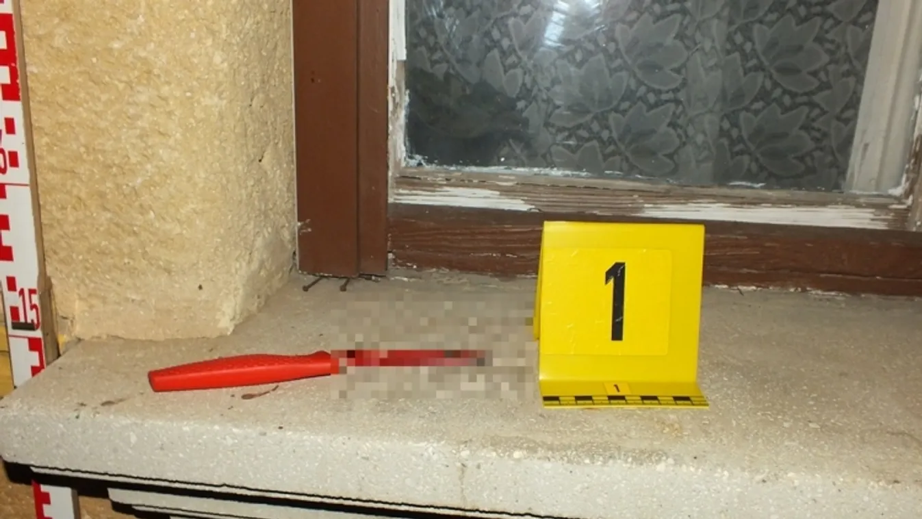 Durván elfajult a vita Tóalmáson: kést döfött ismerőse mellkasába az 51 éves nő