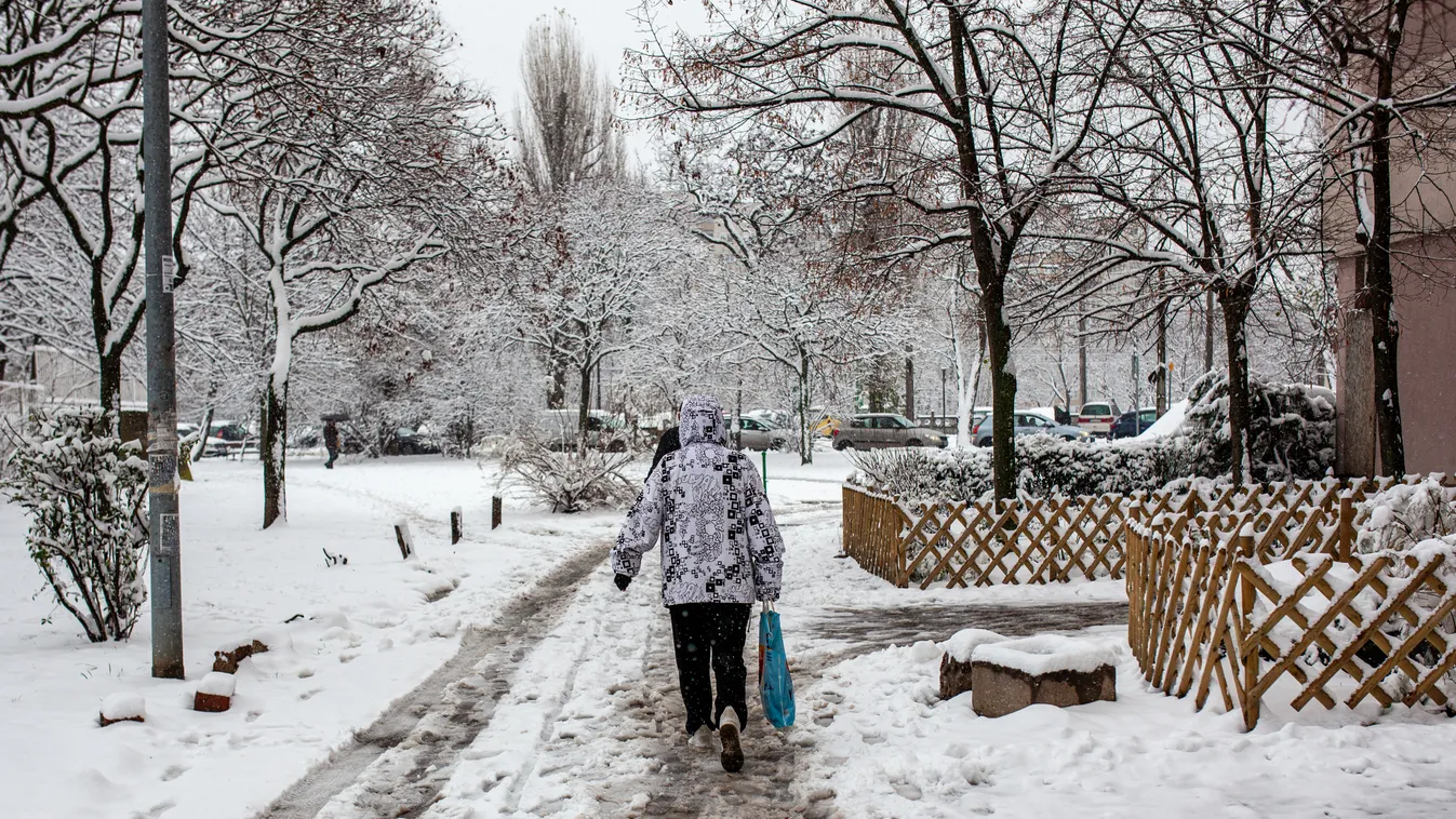 Így védjük meg a növényeket a téli sózástól