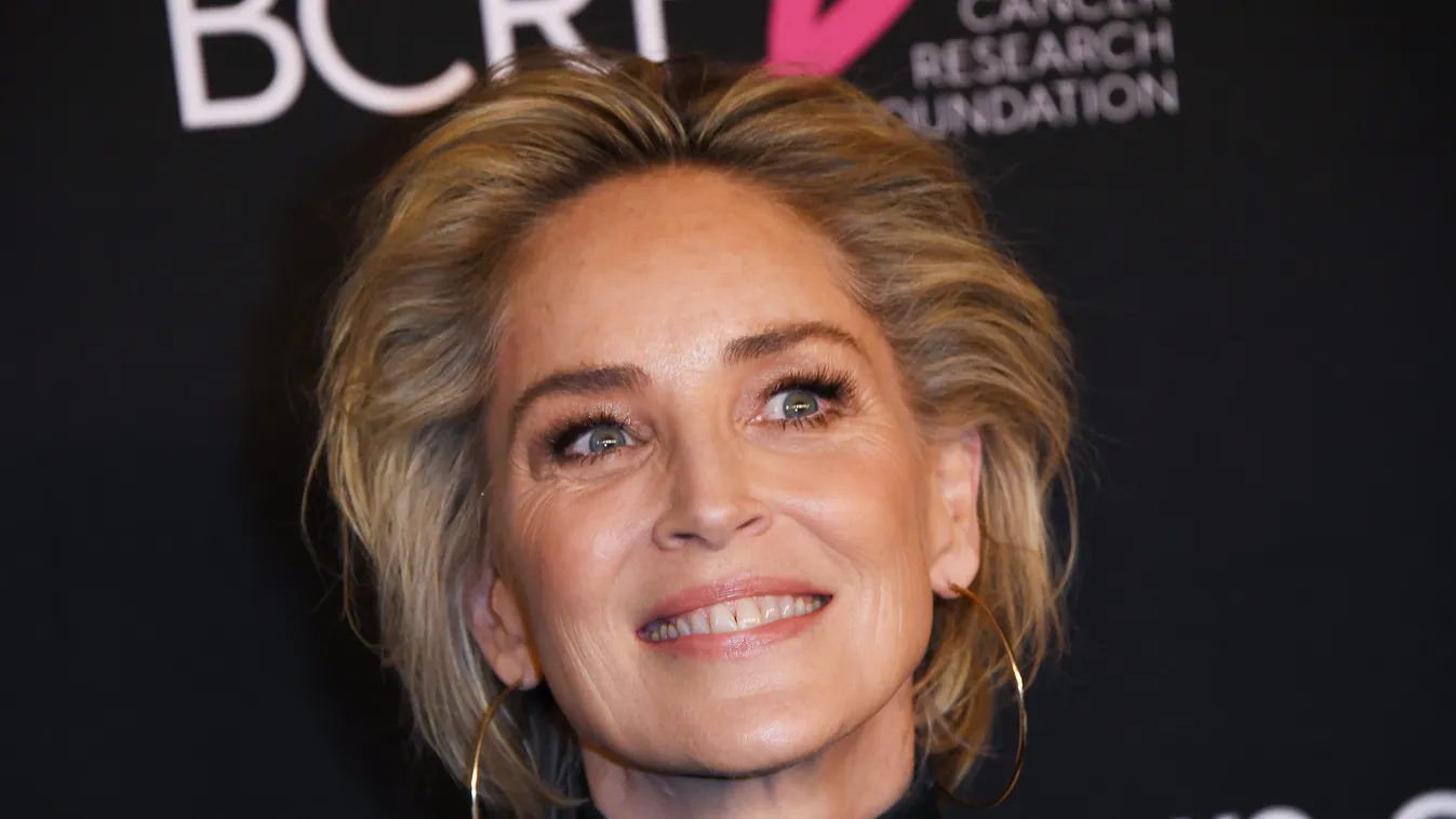 Könyörgött a társkereső alkalmazásnak Sharon Stone: ne dobják ki