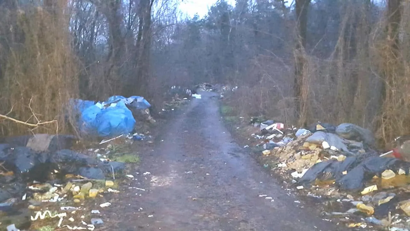 Így teríti be a bekötőutat a szemét - elképesztő fotó