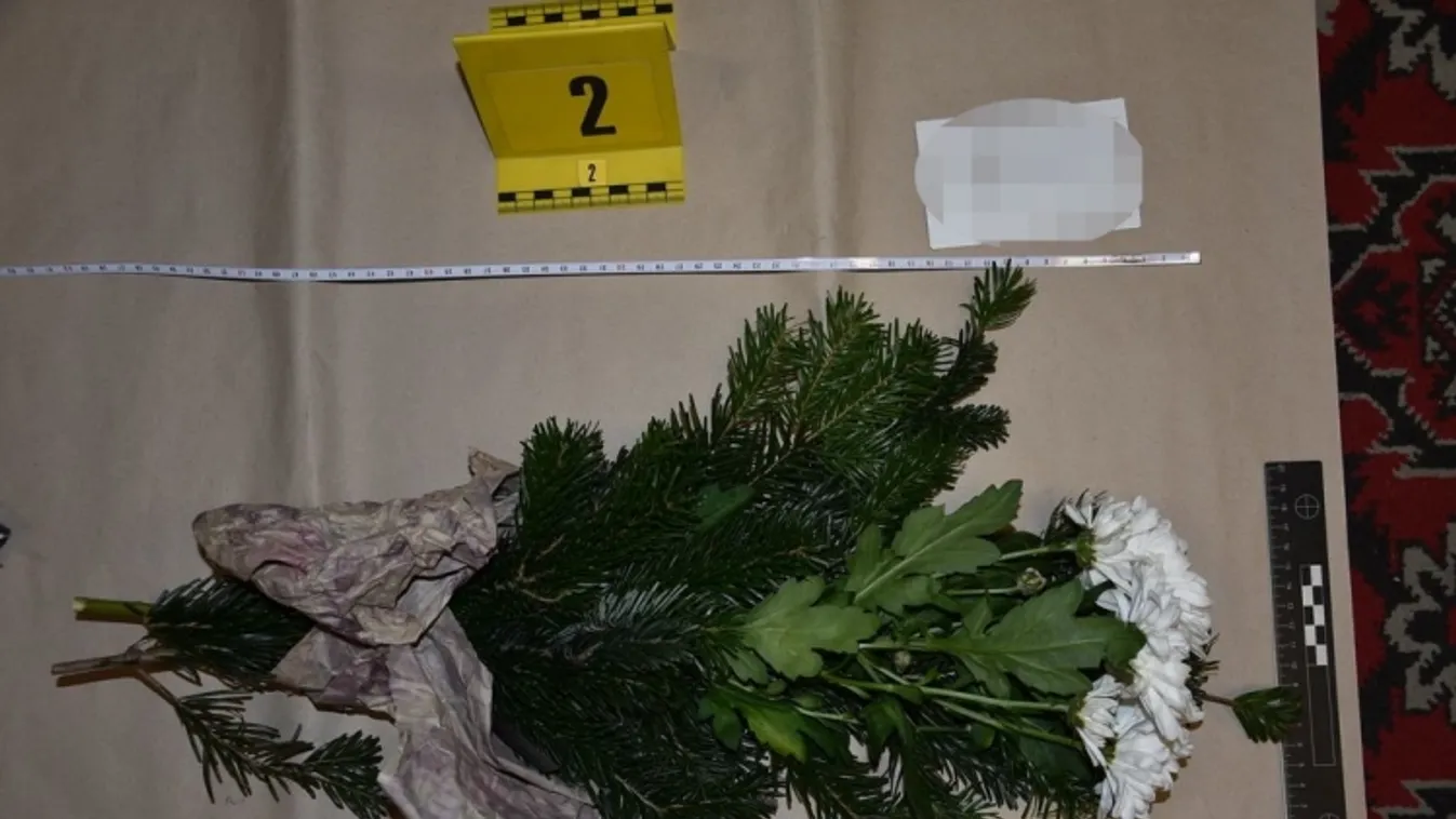 A rendőrök is megdöbbentek, miért lopott a sírokról a hajmáskéri férfi