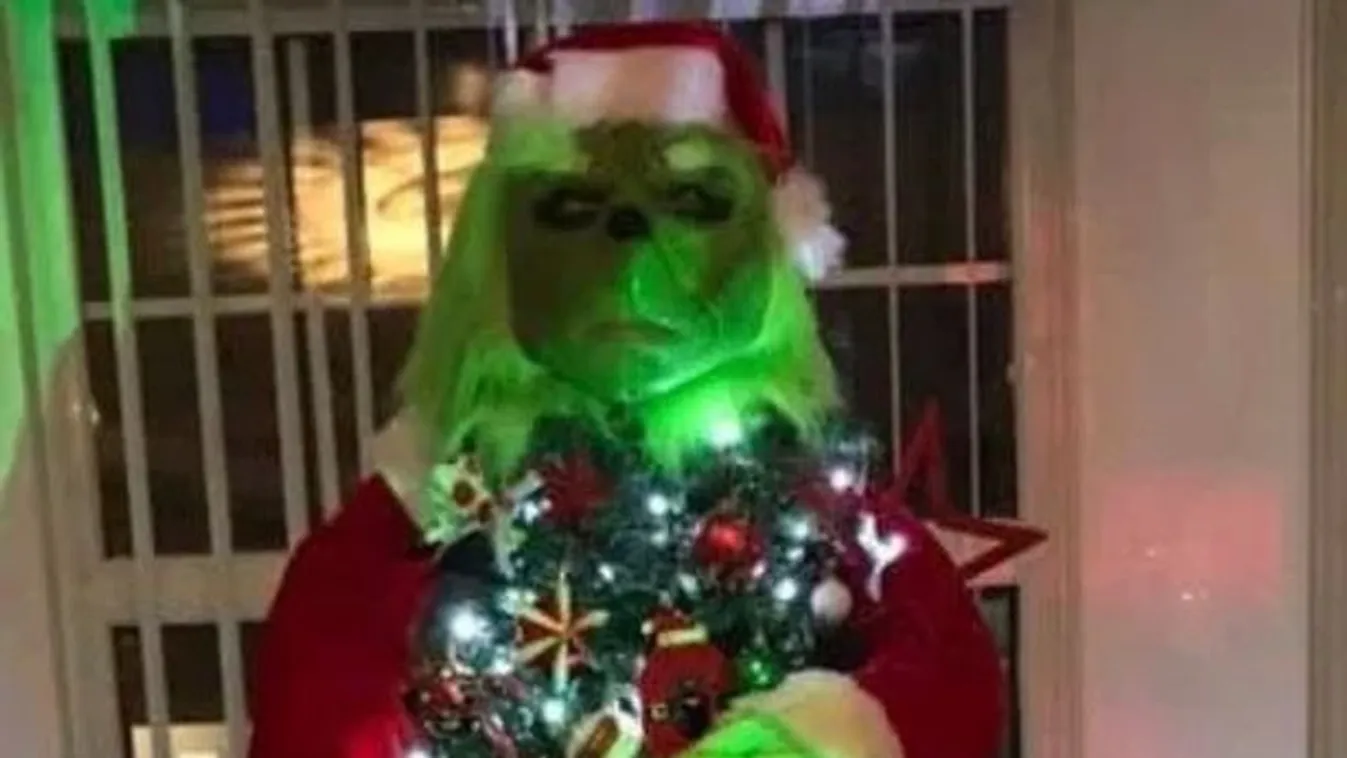 Őrület, sokkolta a netezőket ez a karácsonyfa - Fotó