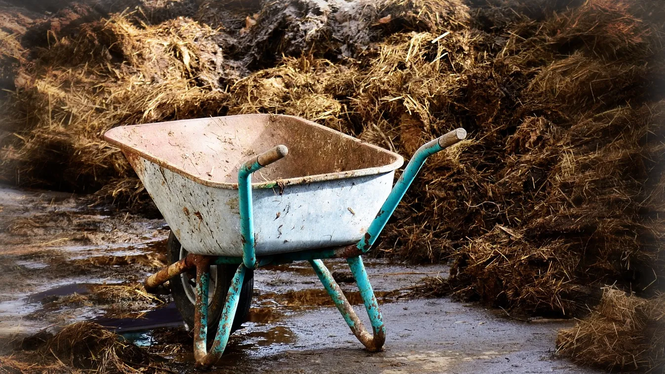 Váratlan helyeken tűntek fel trágyahalmok karácsonykor: senki sem érti, mi történik