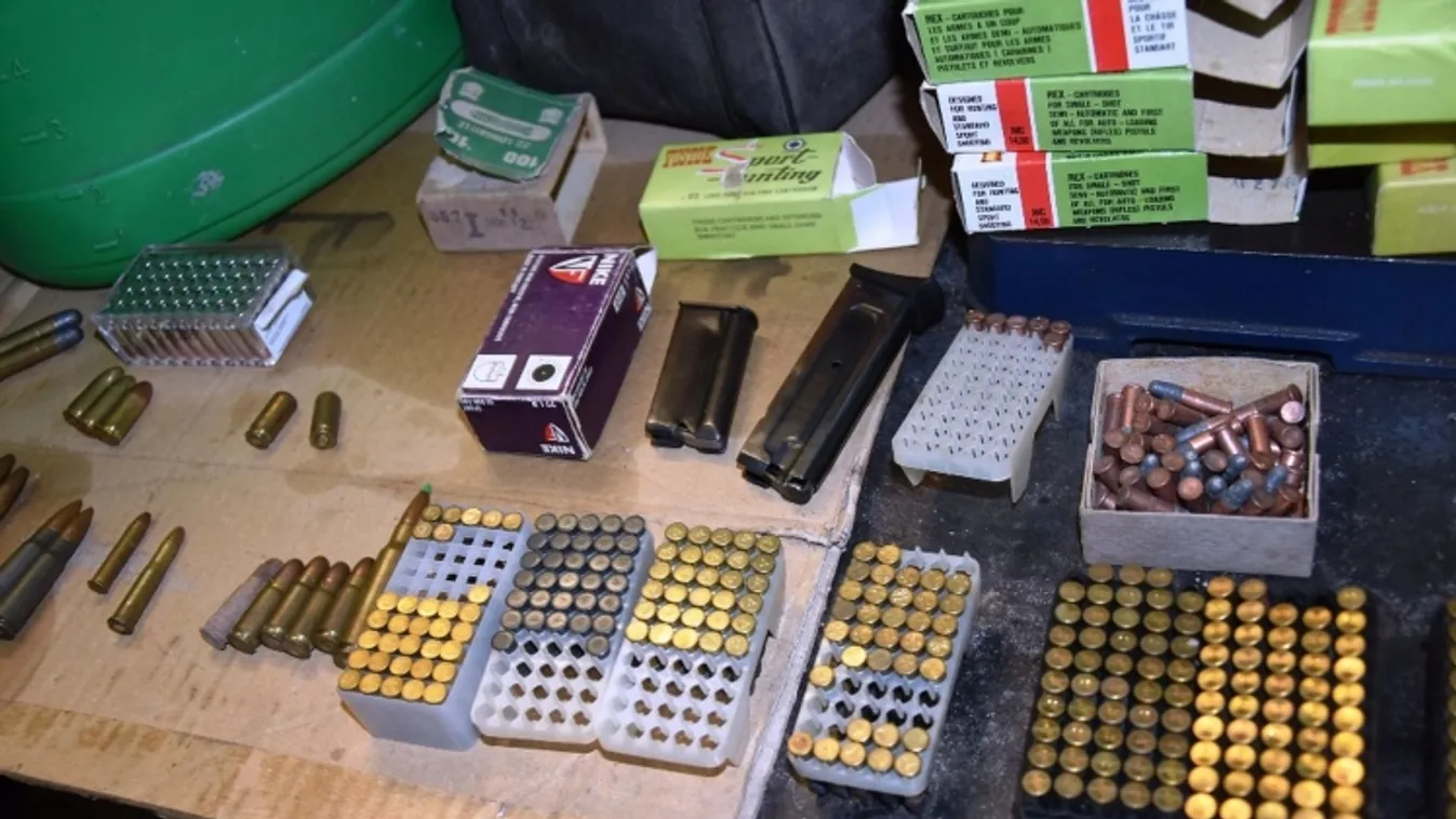 Lövés dördült a mátrai erdőben, a rendőröket ez a látvány fogadta