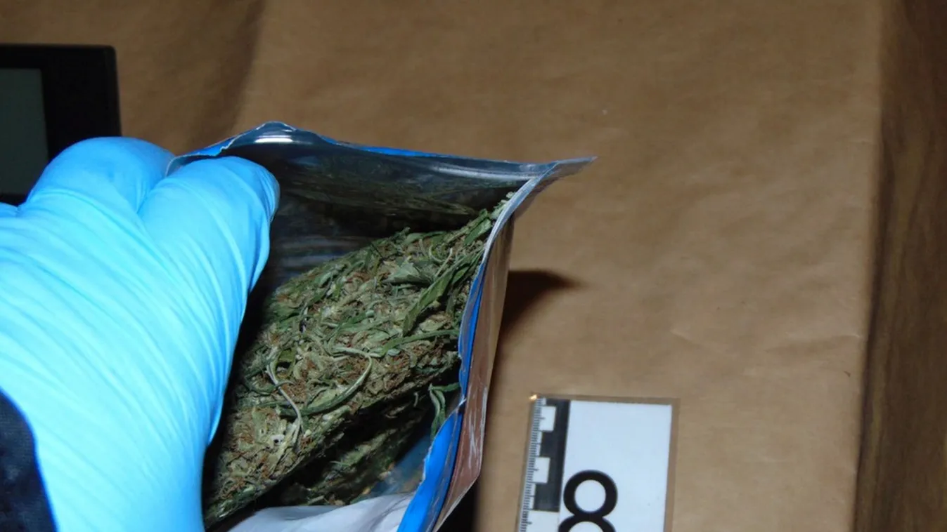 A nap lúzere: ezzel a gonddal fordult a rendőrökhöz, persze, hogy bevitték