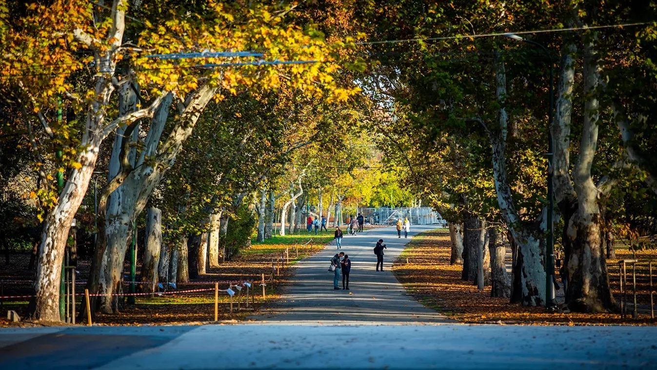 Tovább nő a zöldfelület aránya a Ligetben, már törik fel az aszfaltot