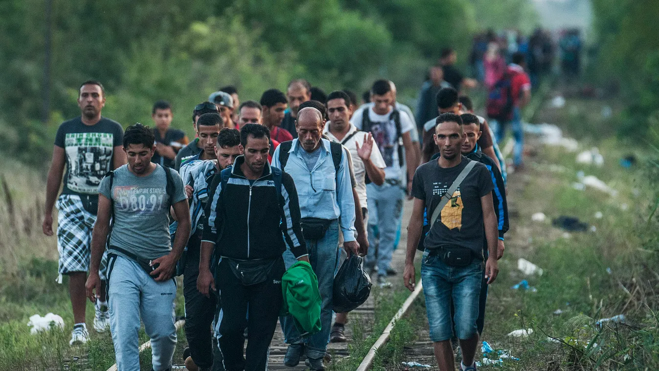 166 ezer menedékkérelmet nyújtottak be tavaly a német hatóságokhoz