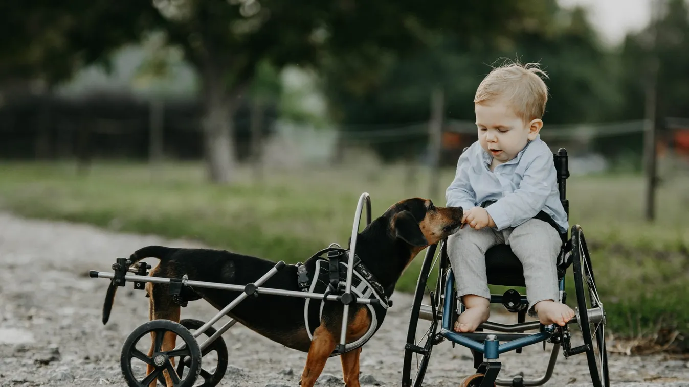 Jó hírek jöttek a kis Zentéről, ezt jelentette be édesanyja