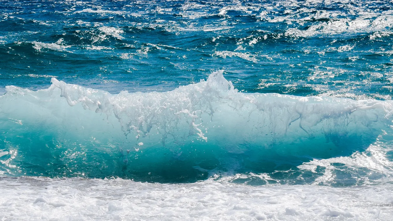 Hátborzongató felvételek: háromlábú tengeri szörny akadt a horogra
