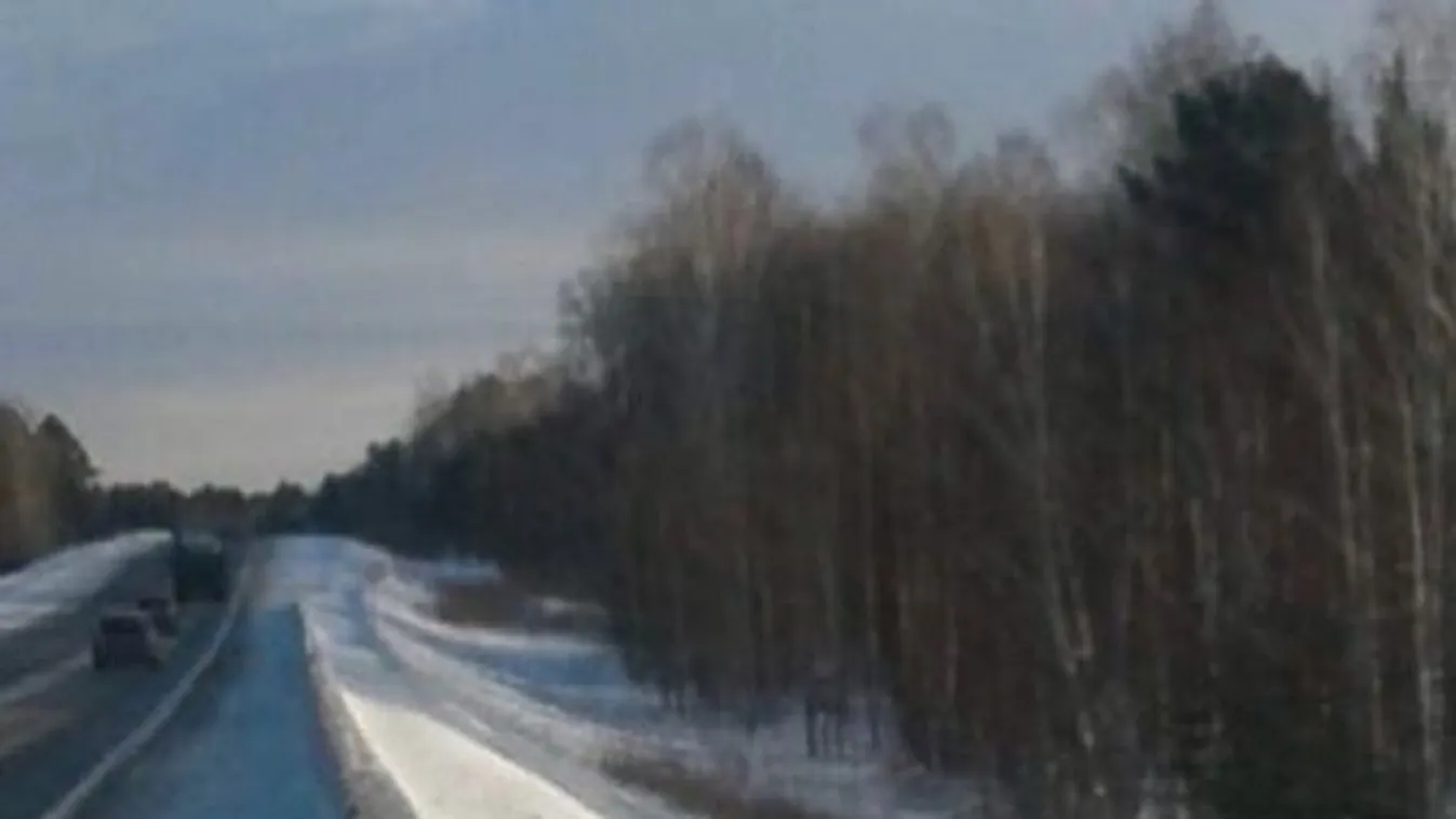 A hűséges kutya 3 hónapja várja gazdáját a -30 fokos fagyban