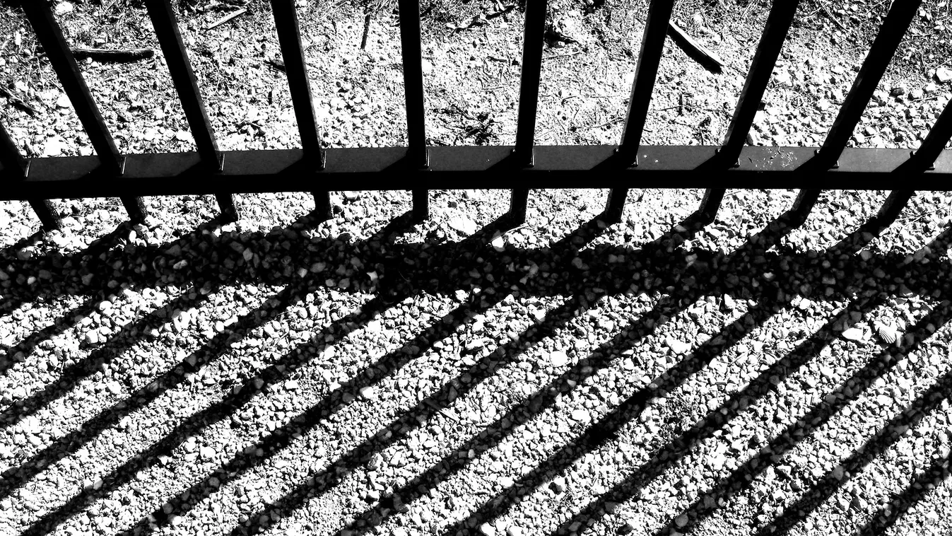 Bűnözők és dörzsölt ügyvédek gazdagodnak a Soros-hálózat segítségével