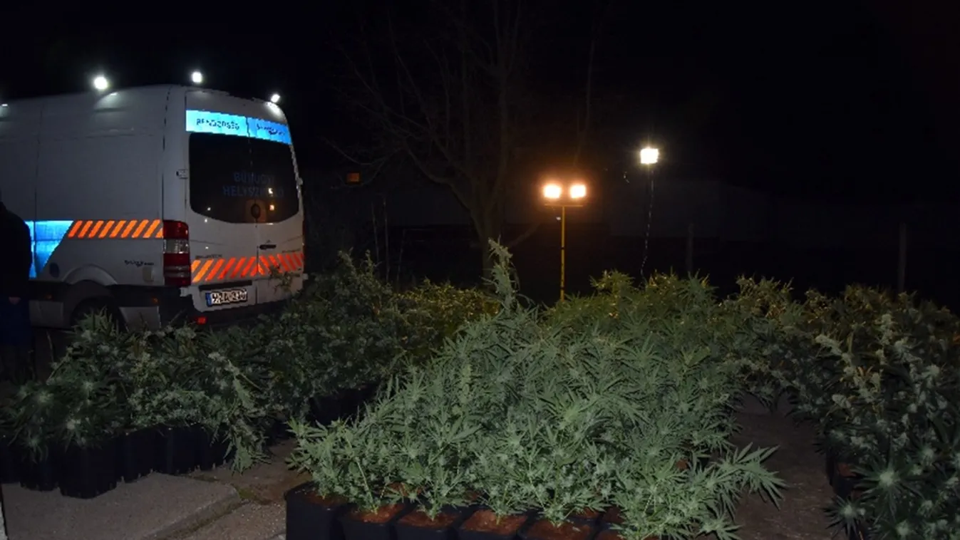 Óriási fogás Bács-Kiskun megyében: a rendőrök szava is elállt ettől - videó