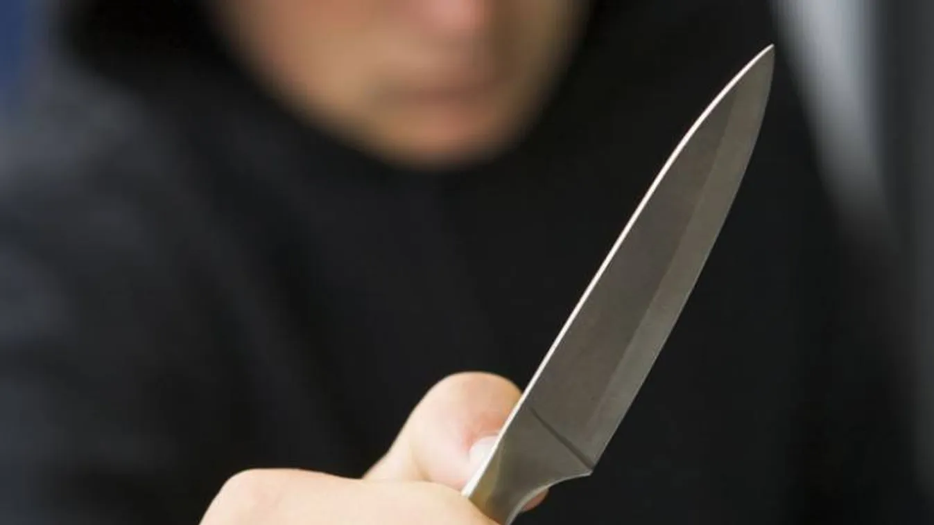 Lefejezésre buzdított a késelő londoni terrorista