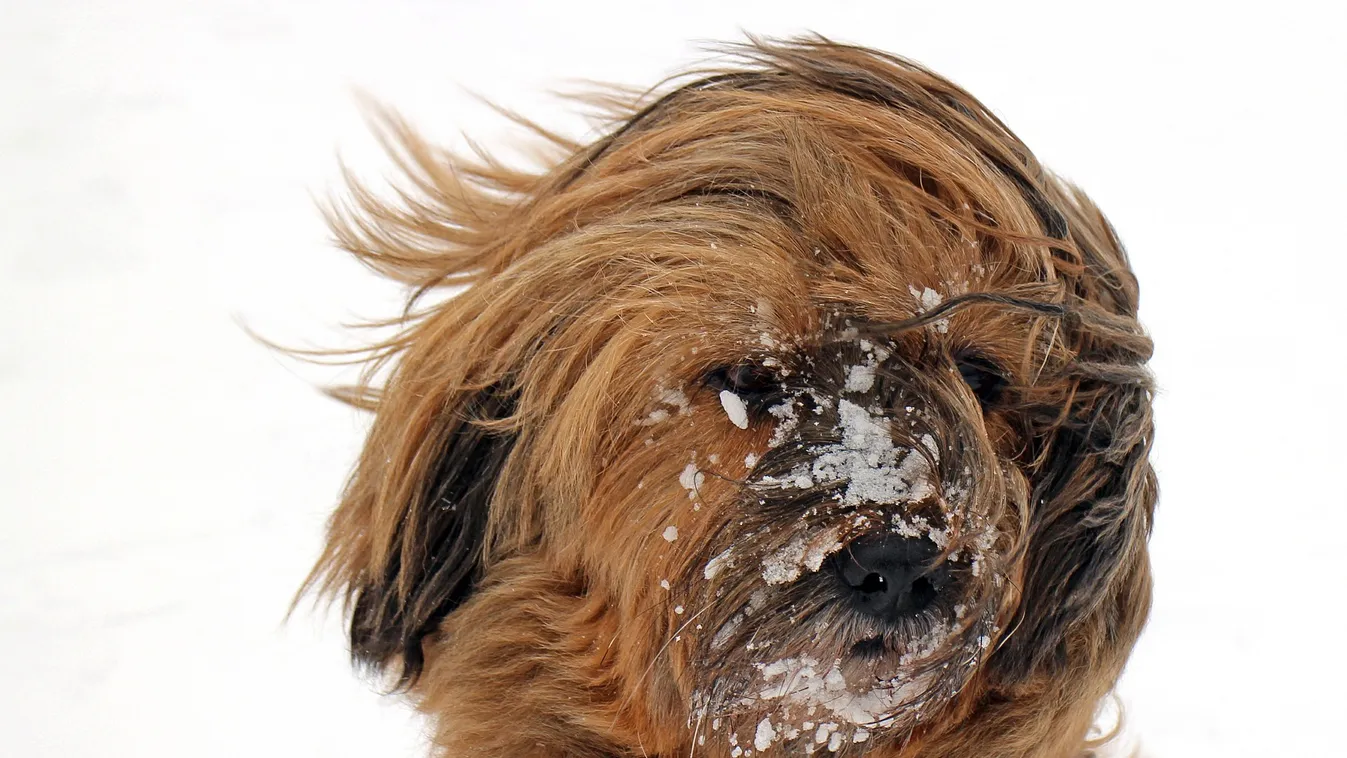 Tovább tombol a viharos szél és már havazásra is számítani kell