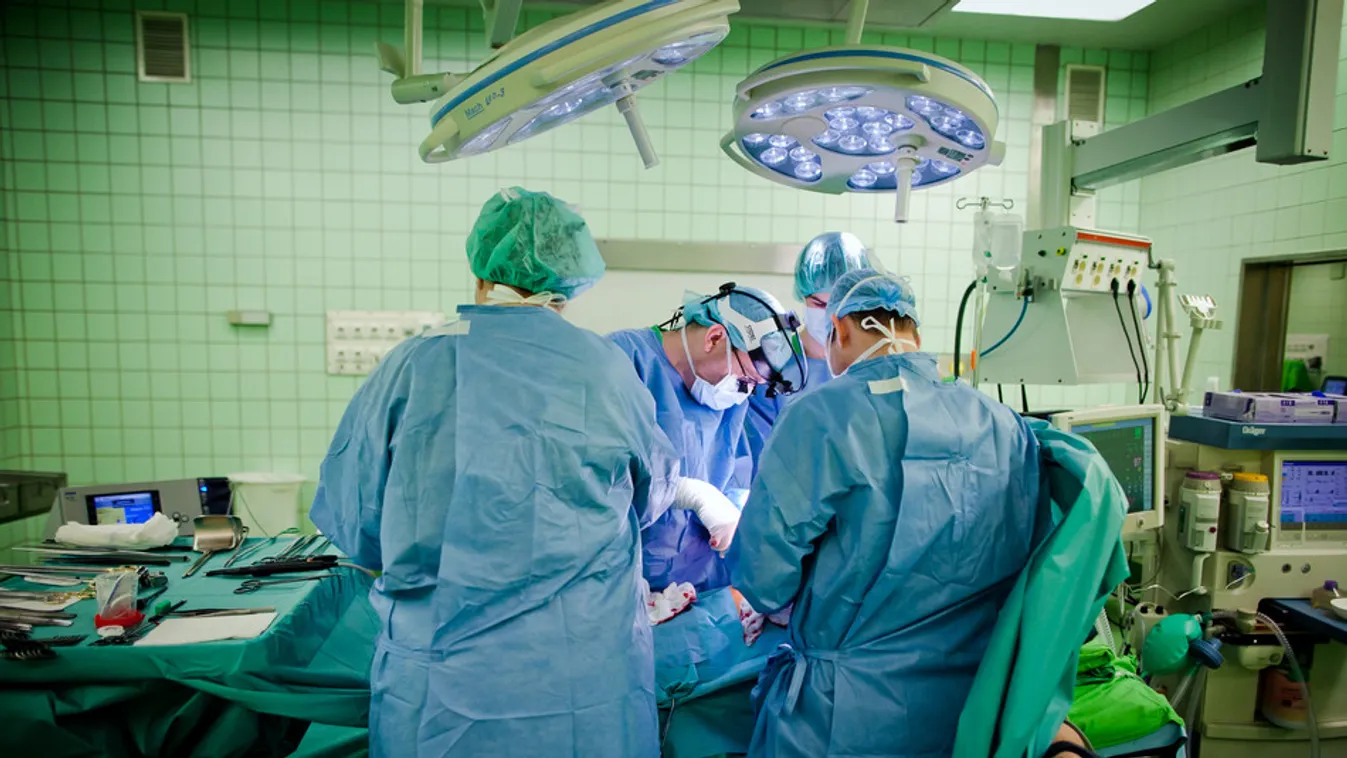 Az ötezredik vesét egy 52 éves férfi kapta meg a Semmelweis Egyetemen