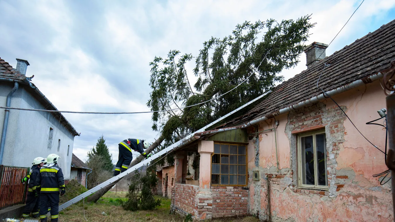 Küzdenek a tűzoltók: rádőlt egy fa az Uzsoki kórház épületére