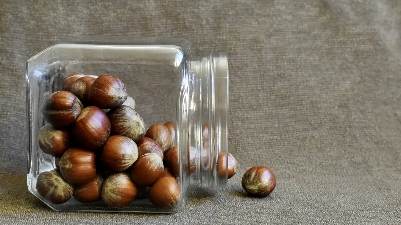 Mogyoró allergiásokat figyelmeztet a Nébih, nincs jelölve ez a termék