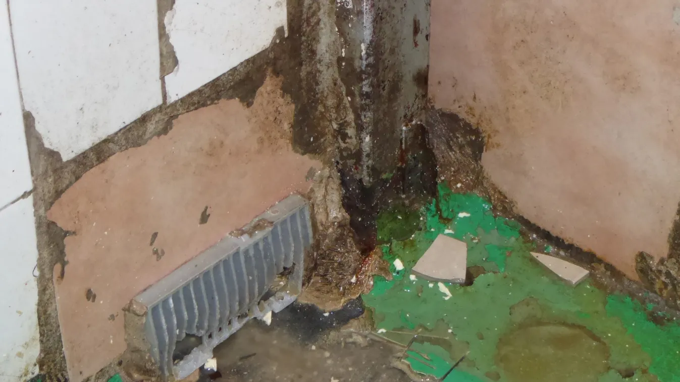 Undorító körülmények a budapesti üzemben, egérürülék volt mindenhol