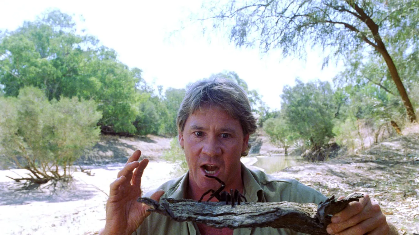 A halott tévésztár unokahúga olyan cicis képeket posztol, hogy arra szavak nincsenek