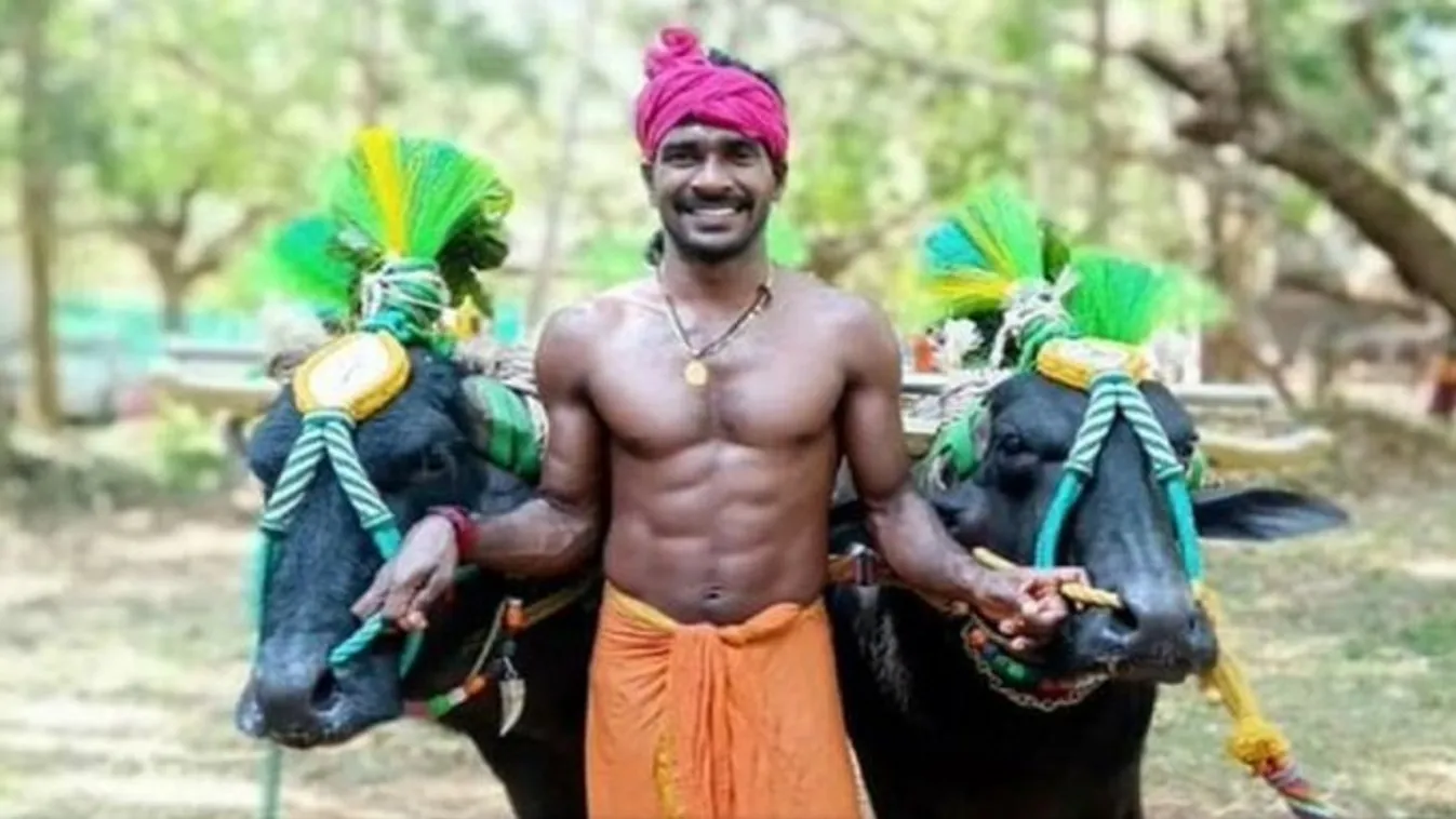 Két bivaly és egy melós lefutotta a világrekorder Usain Boltot - Videó