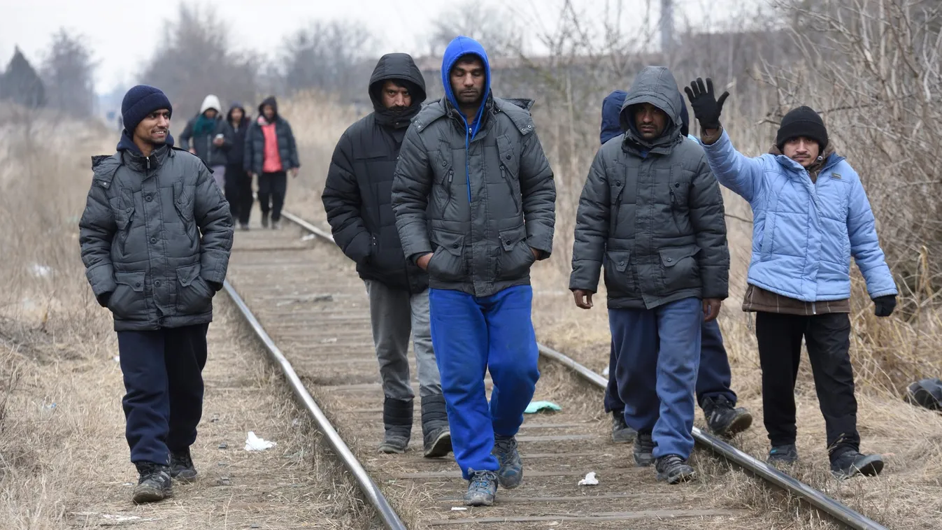 Gyerekekre támadt a szír migráns Szabadkán