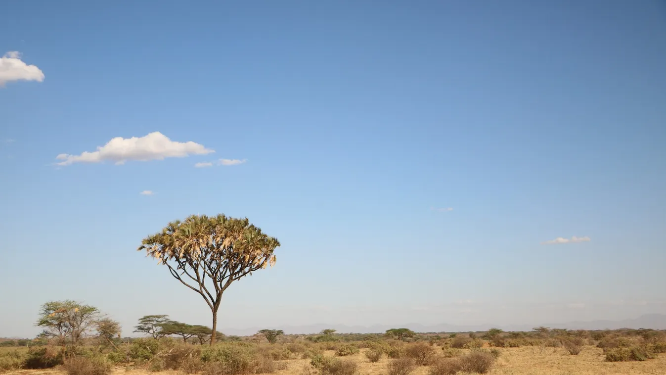 Elborzadtak az állatgondozók, így találták meg az eltűnt fiú maradványait