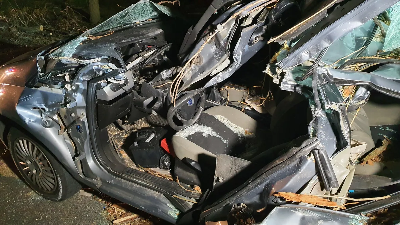 4 gyerekes családapát ölt meg a vihar miatt kidőlt fa