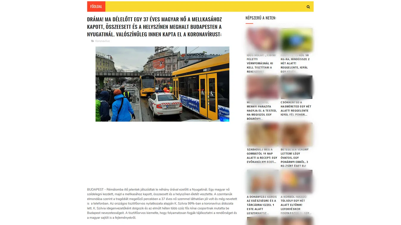 Koronavírus: halálesetekkel riogató magyar kamuoldalakat lepleztek le