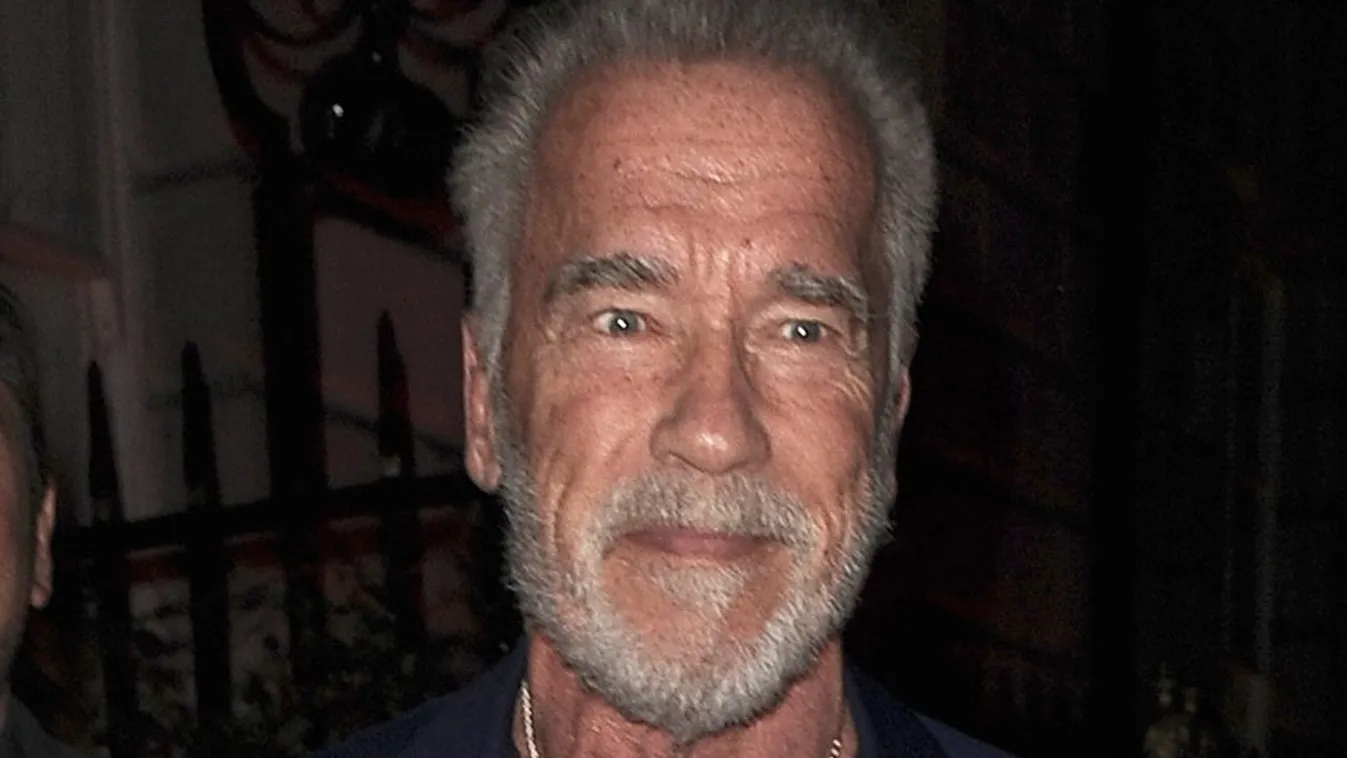Ijesztő hasonmása miatt perel Arnold Schwarzenegger