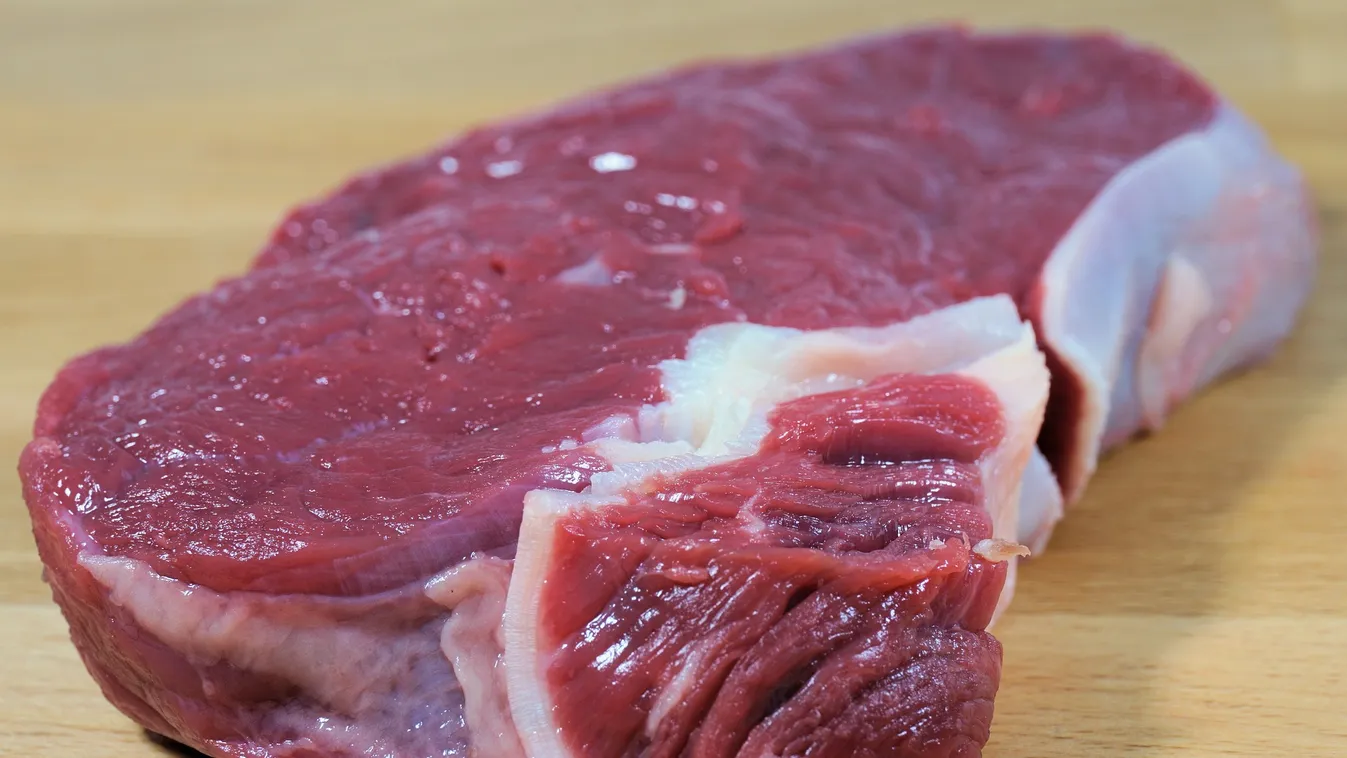 Undorító állapotok: lopják a húst a dögtemetőből