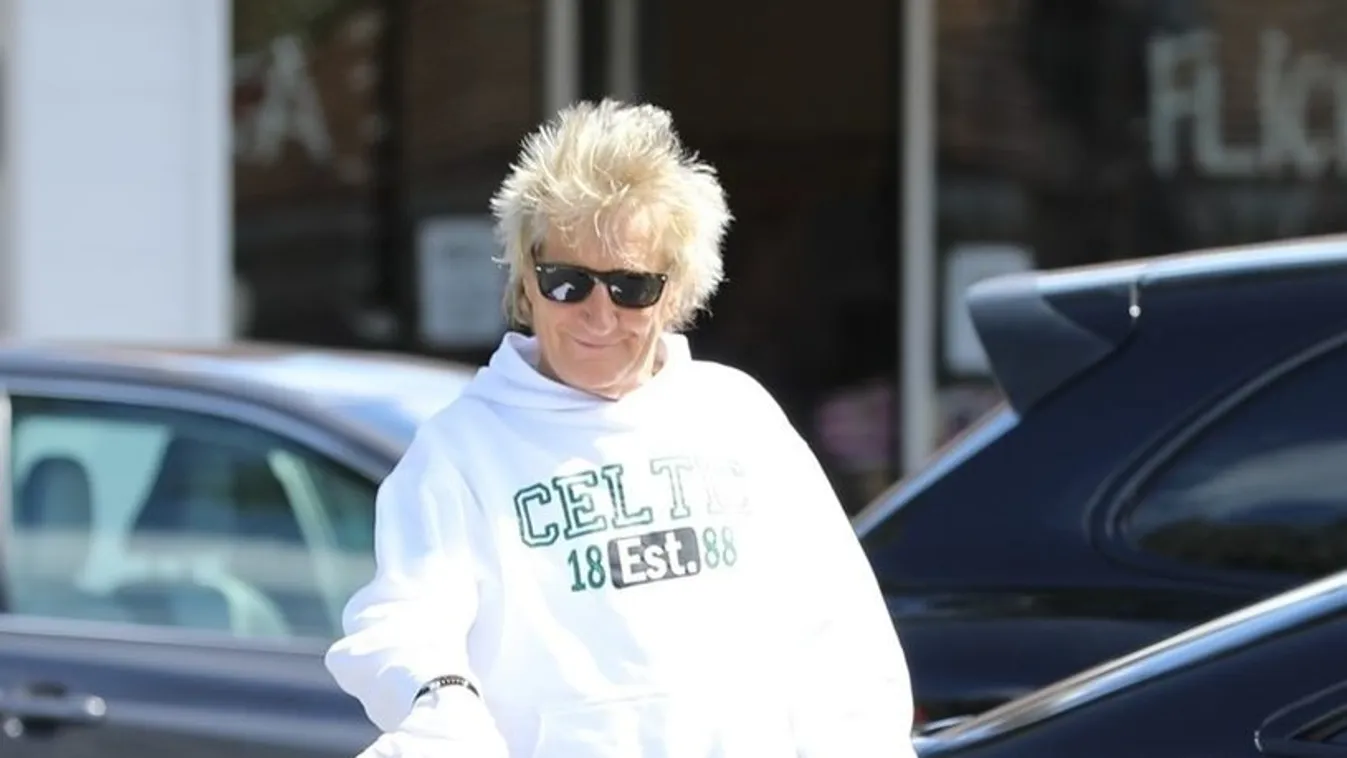 Rod Stewart még a nejéhez is csak kesztyűben nyúl - Fotó