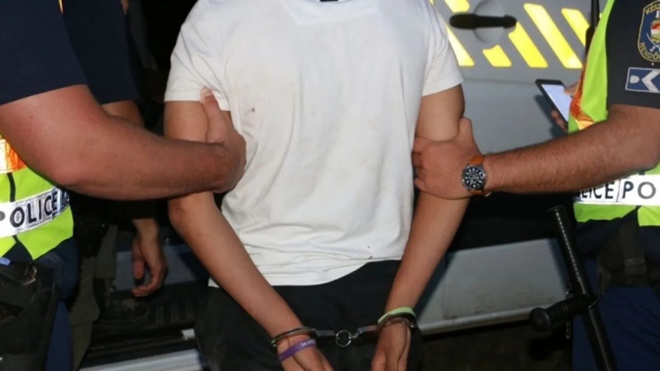 Halálra gázolta, majd cserbenhagyta áldozatát, ezt tették vele a rendőrök