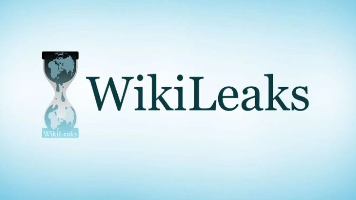 Szabadlábra helyezték a WikiLeaks volt informátorát