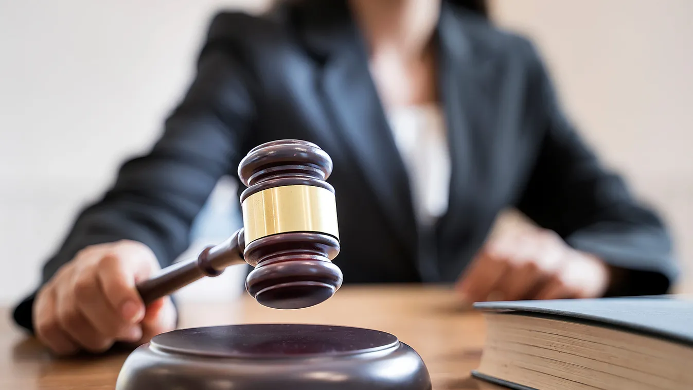 "Ember vagyok, nem állat" - védekezett a nemi erőszakoló migráns