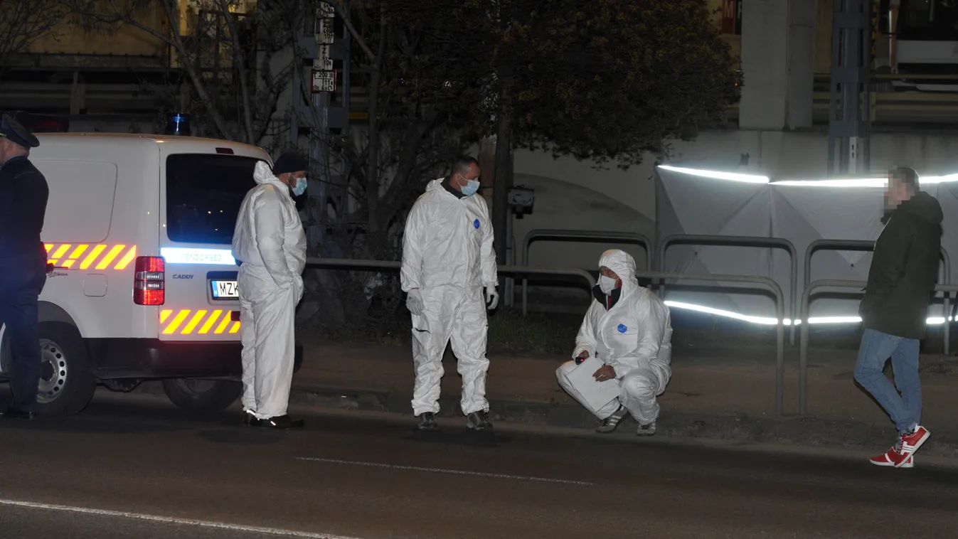 Megtalálták Pepsi kutyát, akinek a gazdáját halálra késelték