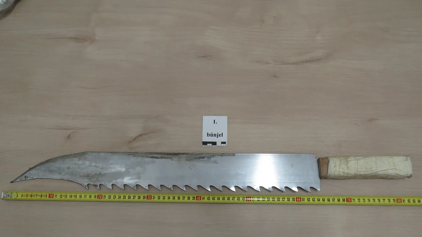 Bozótvágóval a kezében őrjöngött egy férfi Tiszabőn